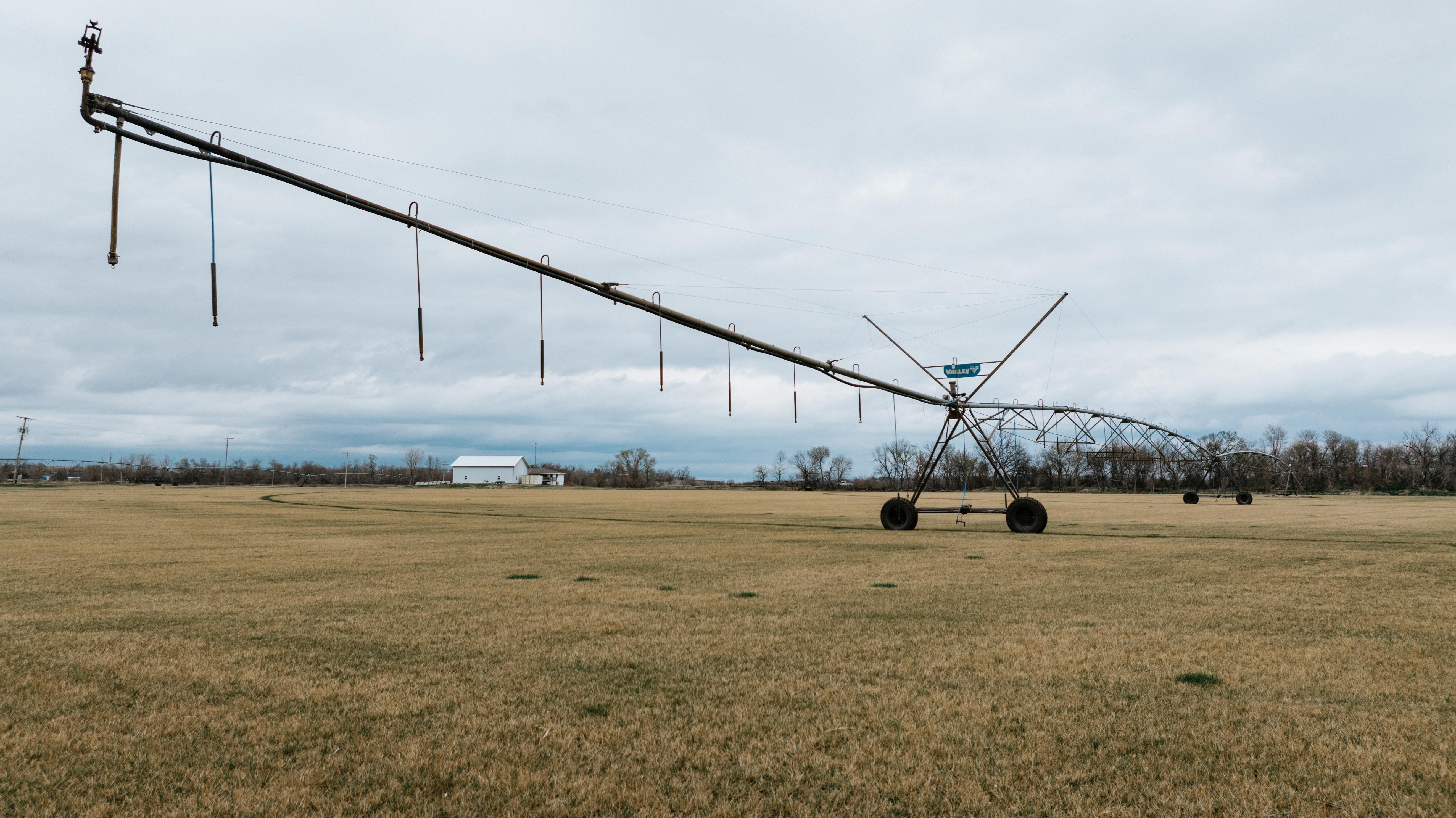 Springfield, NE 68059 - image 9