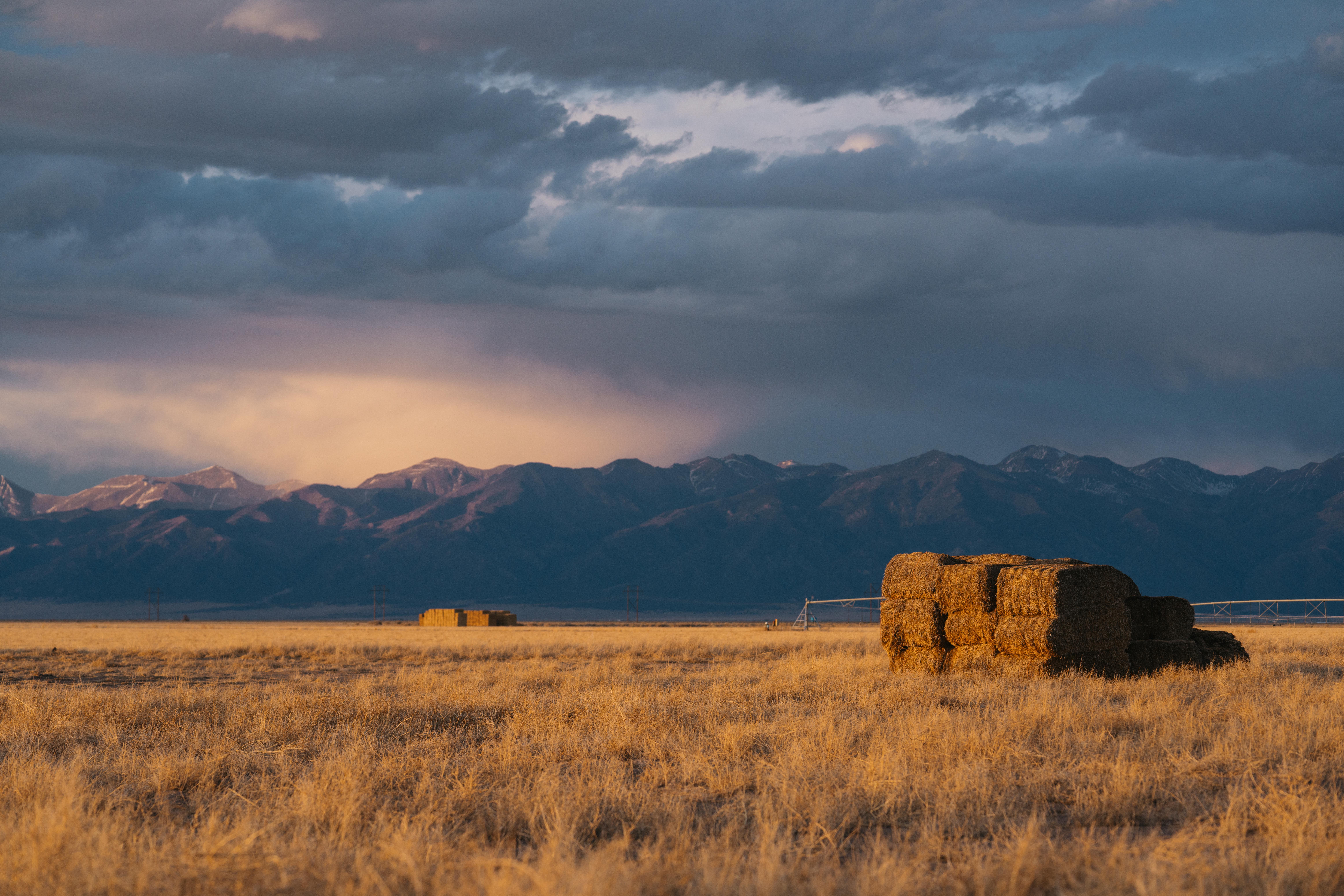 Center, CO 81125 - image 43