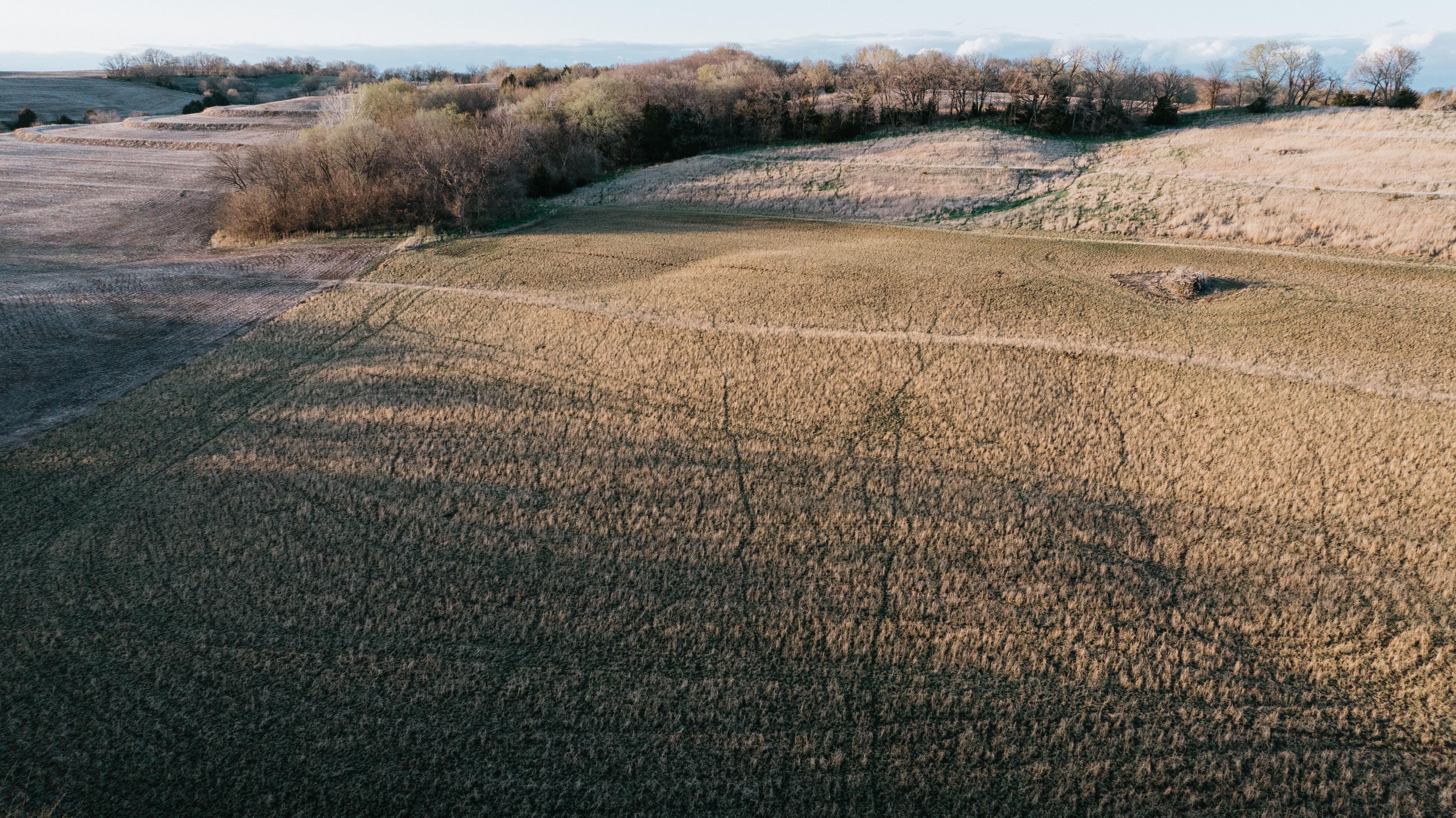 Plattsmouth, NE 68048 - image 12