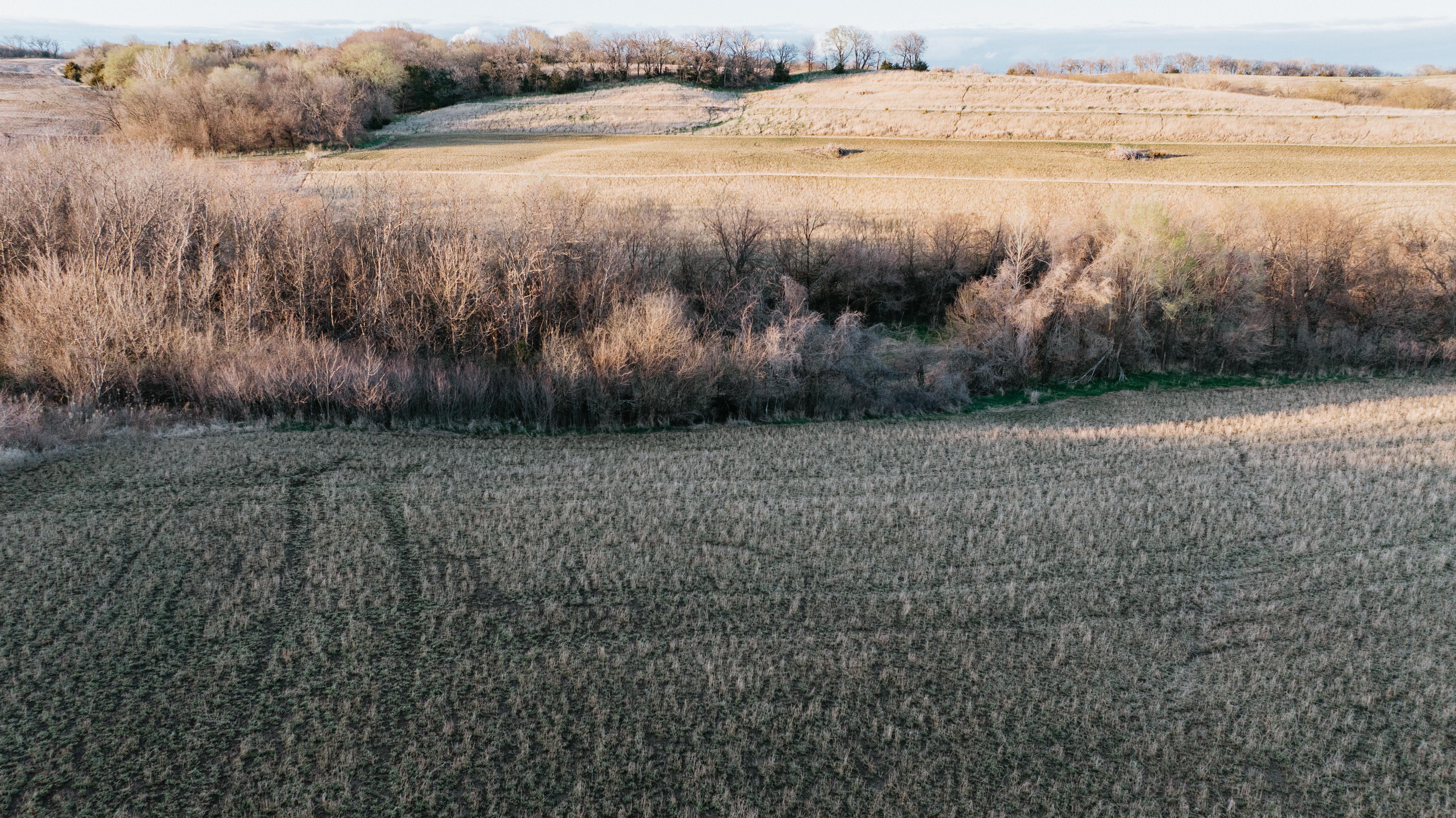 Plattsmouth, NE 68048 - image 10
