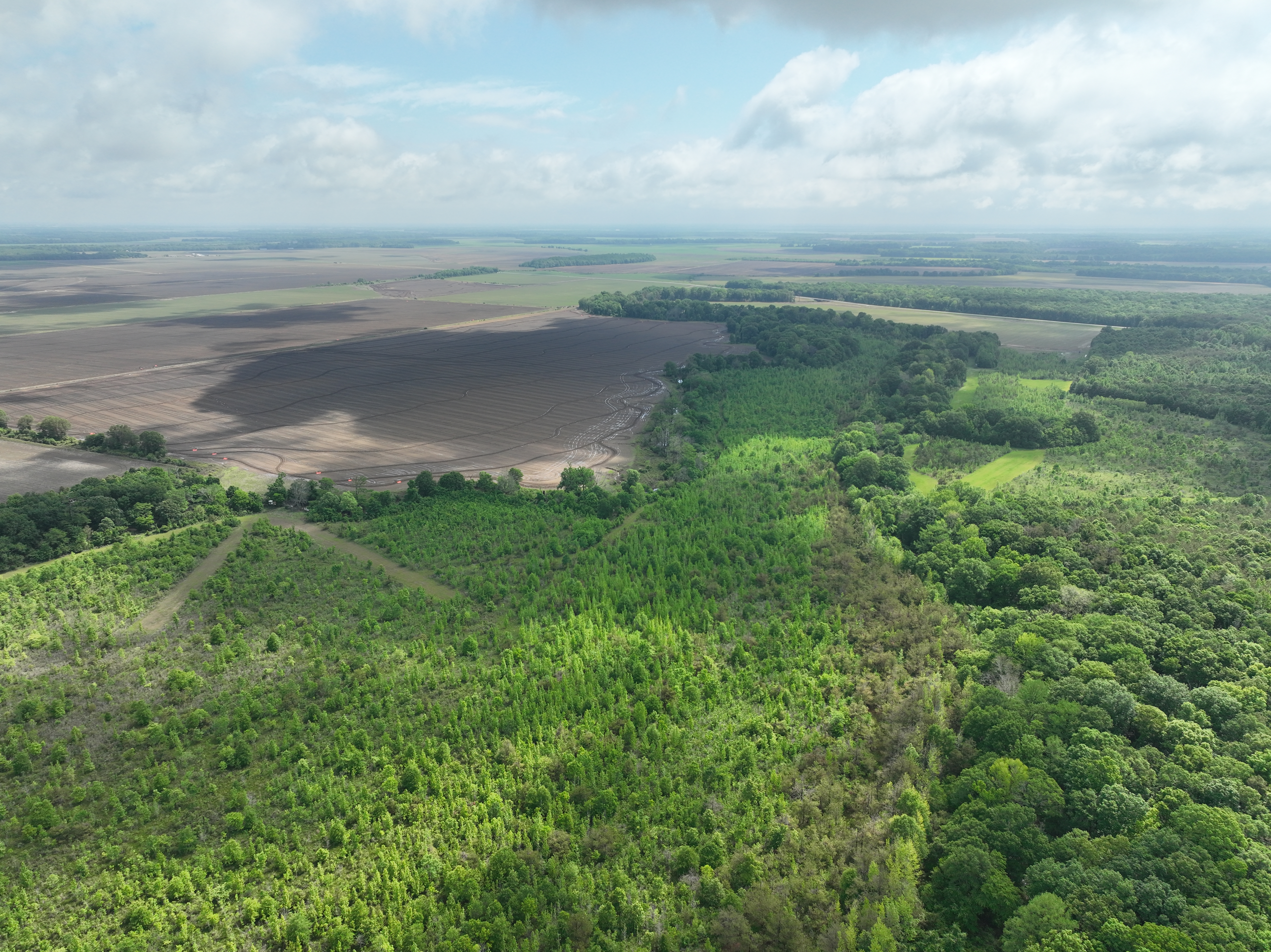 Winchester, AR 71677 - image 3