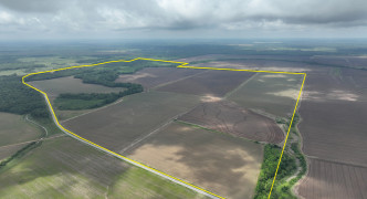 Winchester, AR 71677