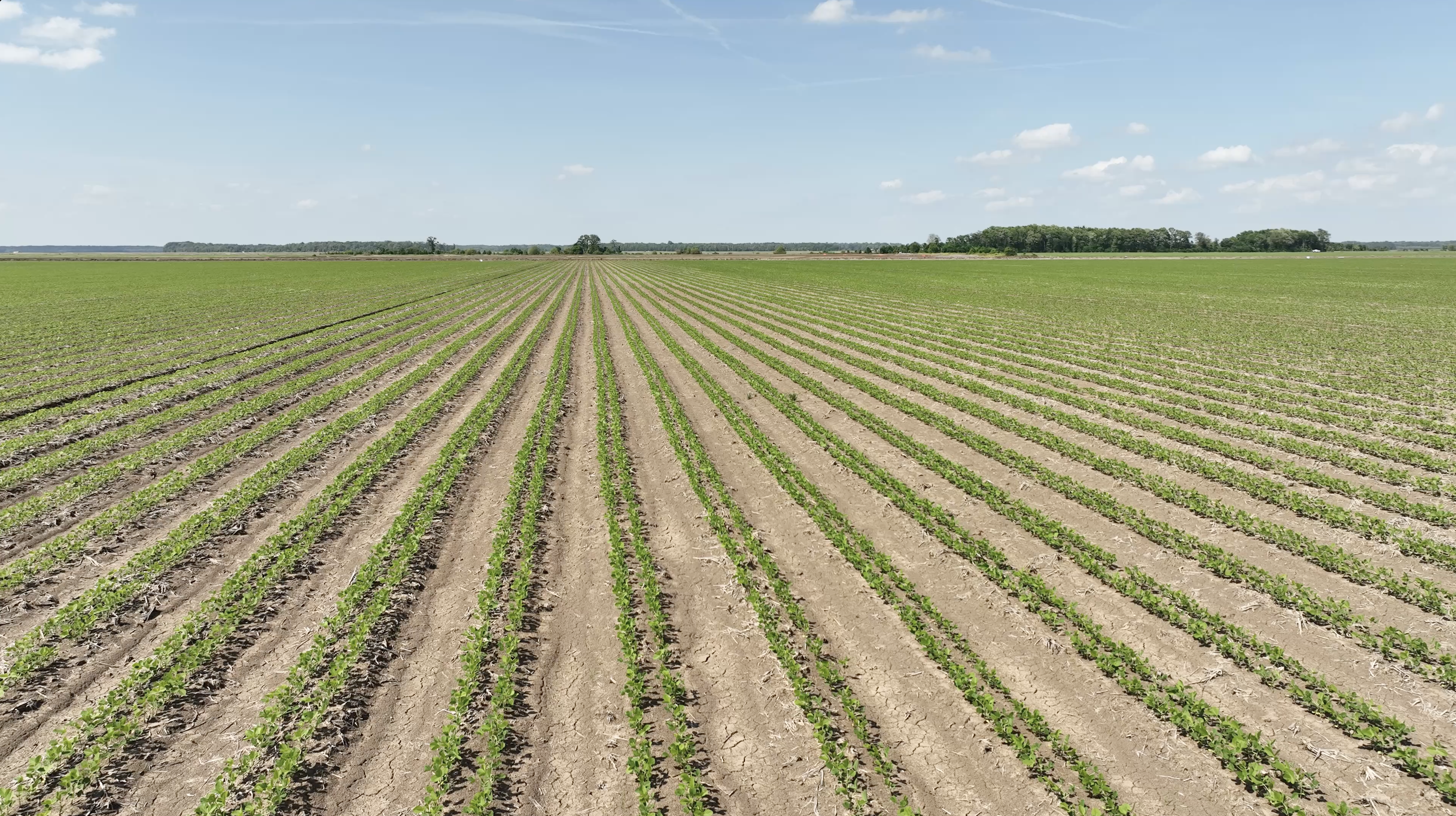 Winchester, AR 71677 - image 32