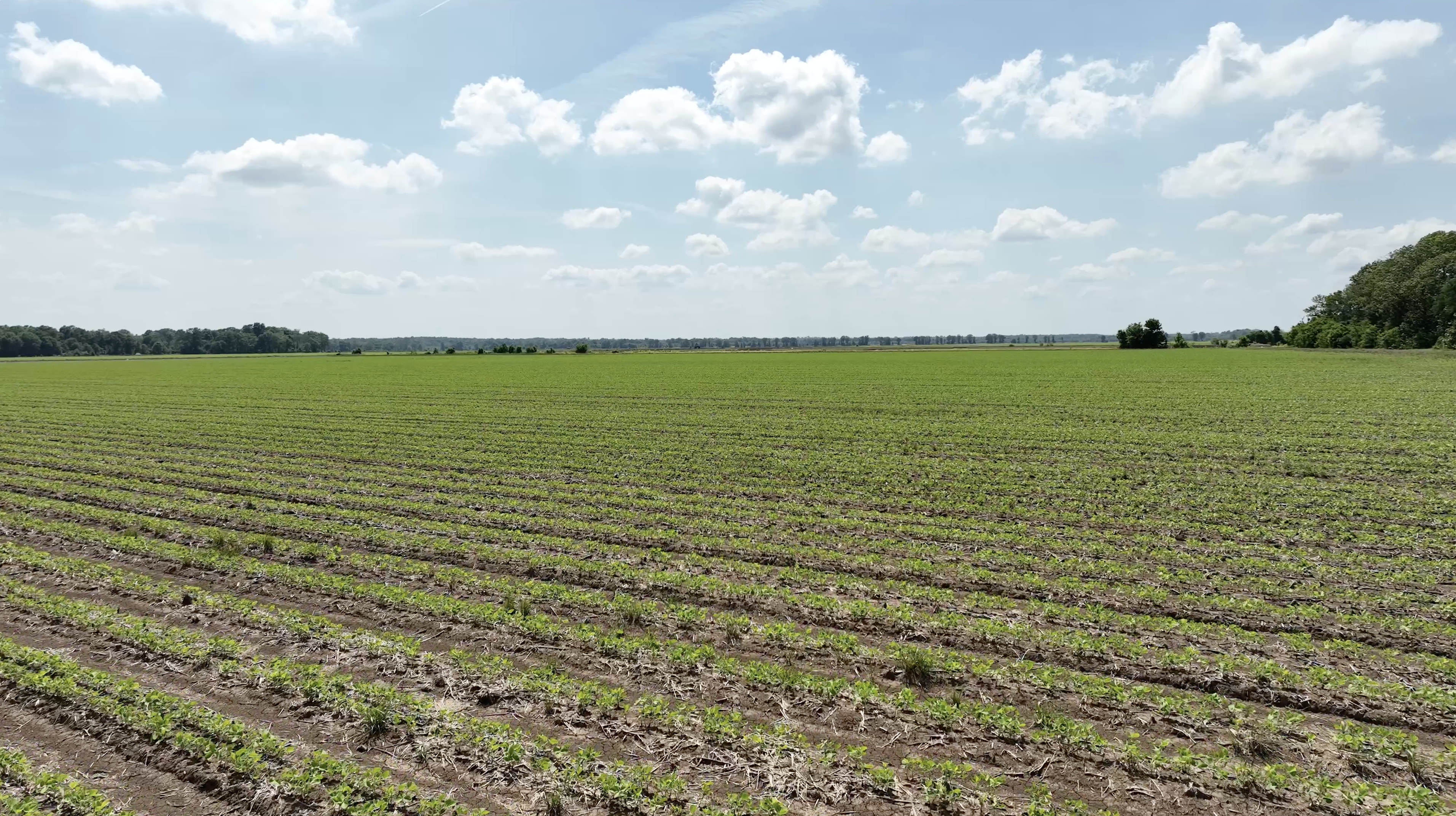 Winchester, AR 71677 - image 15
