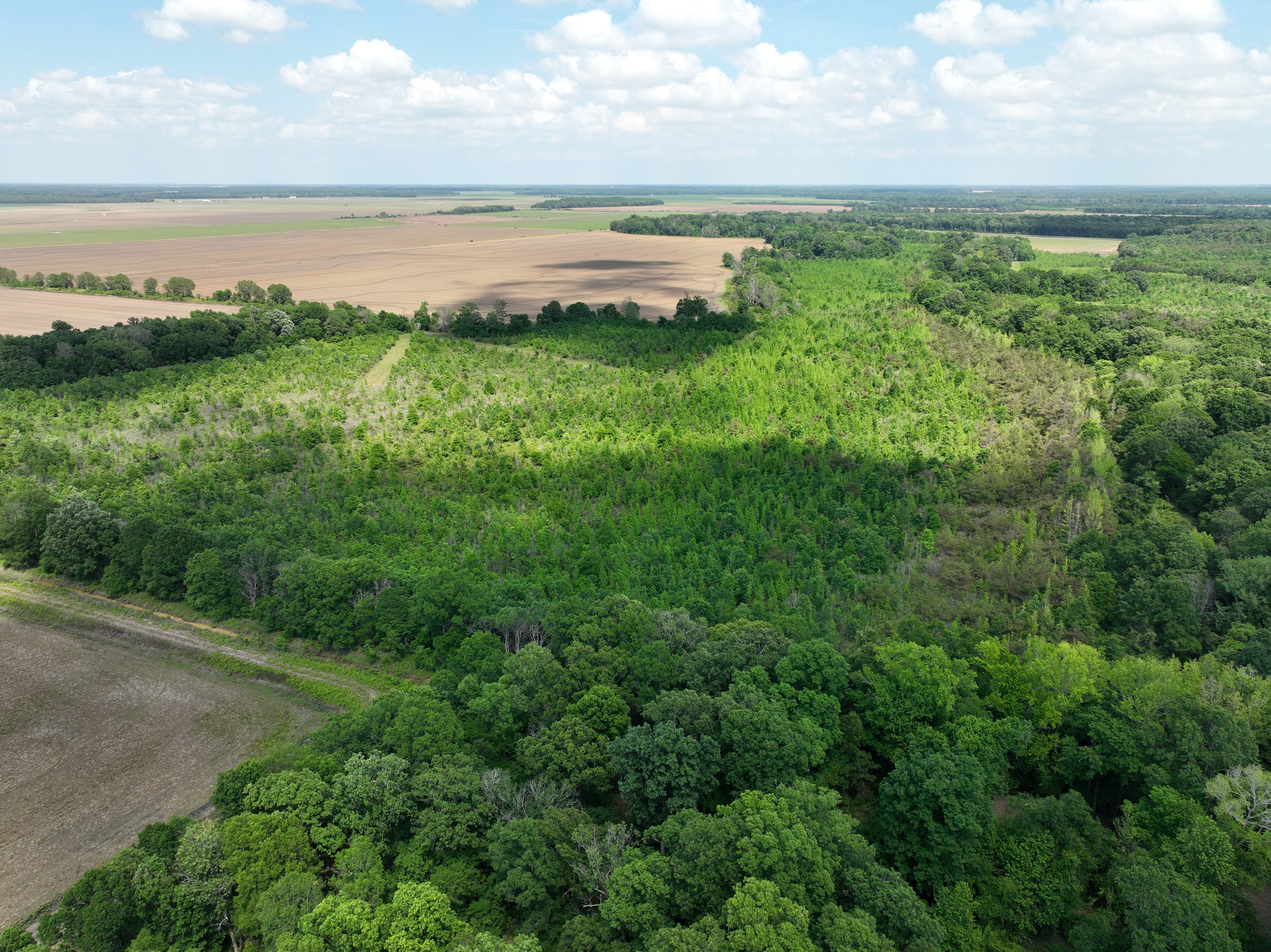 Winchester, AR 71677 - image 9