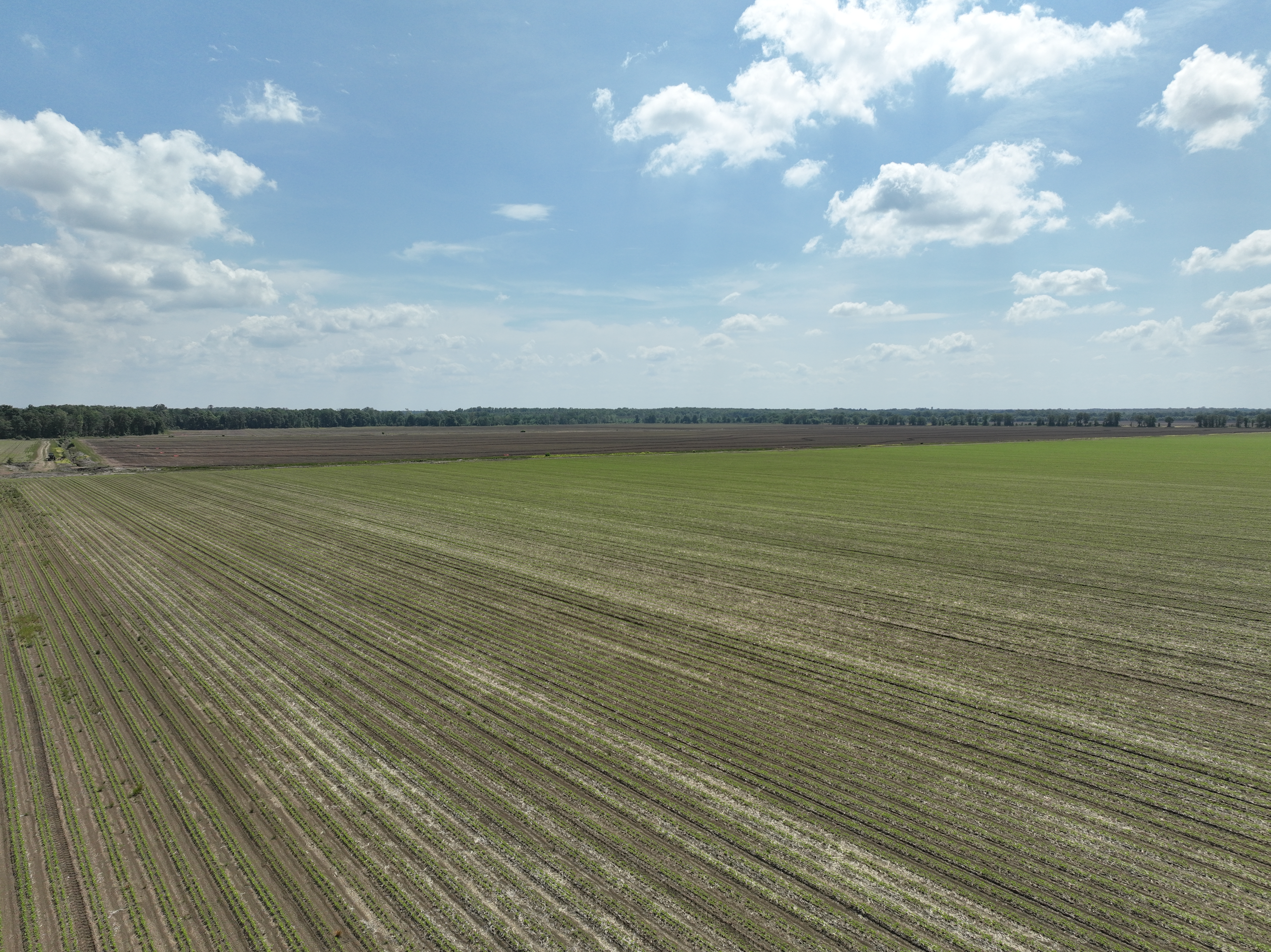 Winchester, AR 71677 - image 8