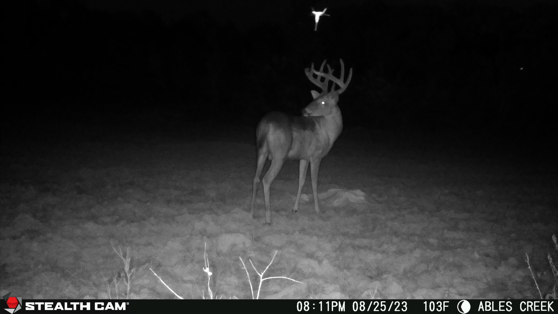 Winchester, AR 71677 - image 25