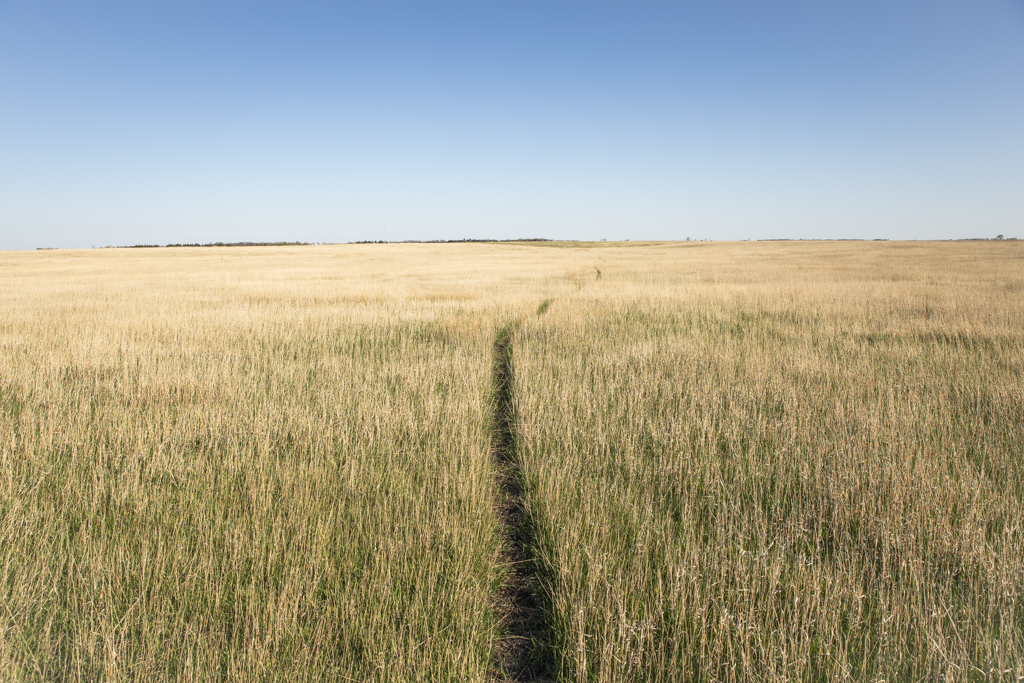 Plankinton, SD 57368 - image 30