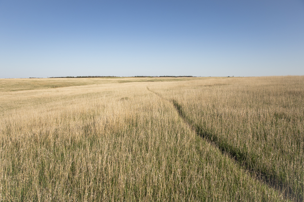 Plankinton, SD 57368 - image 29