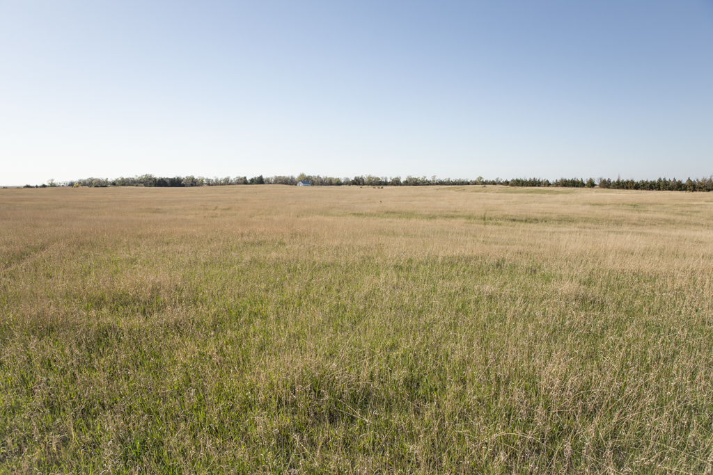 Plankinton, SD 57368 - image 28