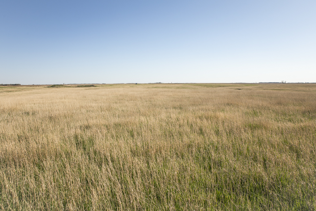 Plankinton, SD 57368 - image 25