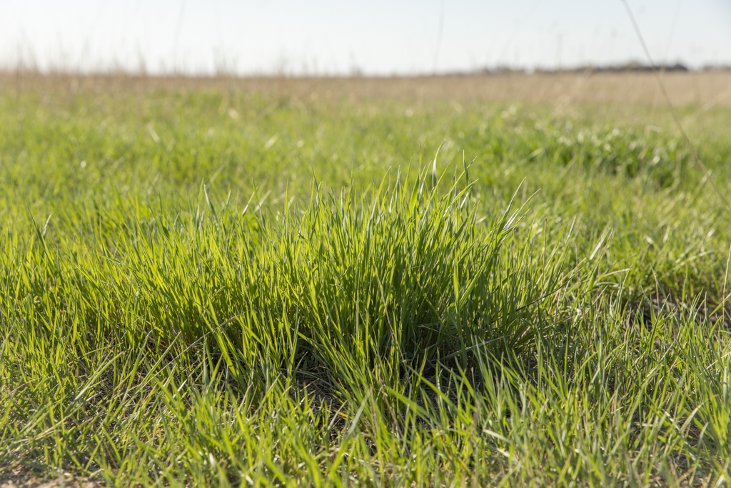 Plankinton, SD 57368 - image 18