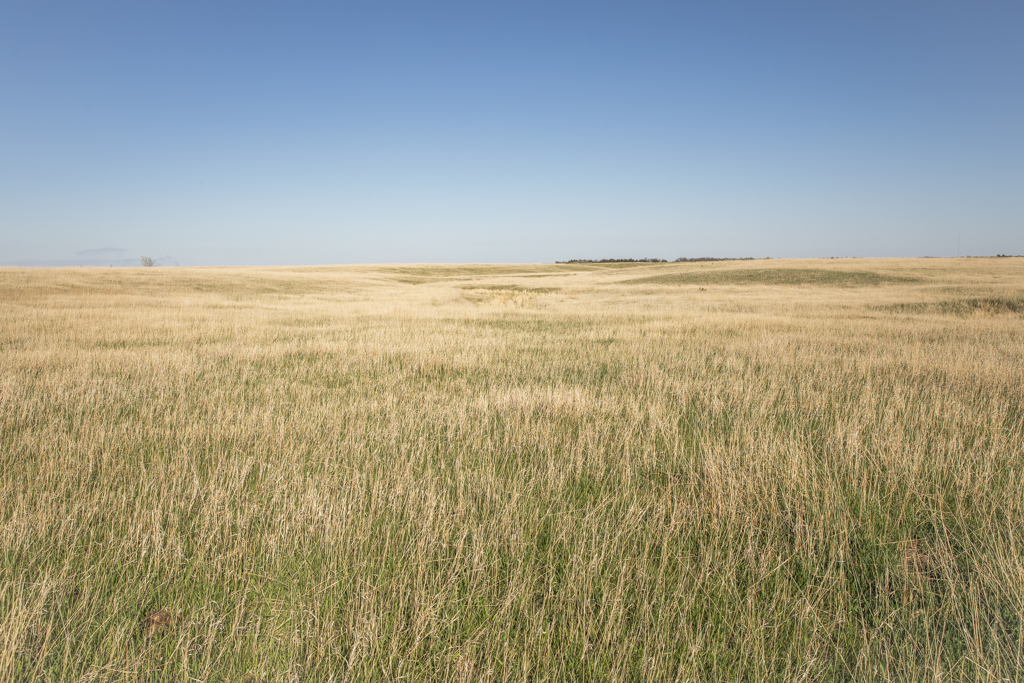 Plankinton, SD 57368 - image 34