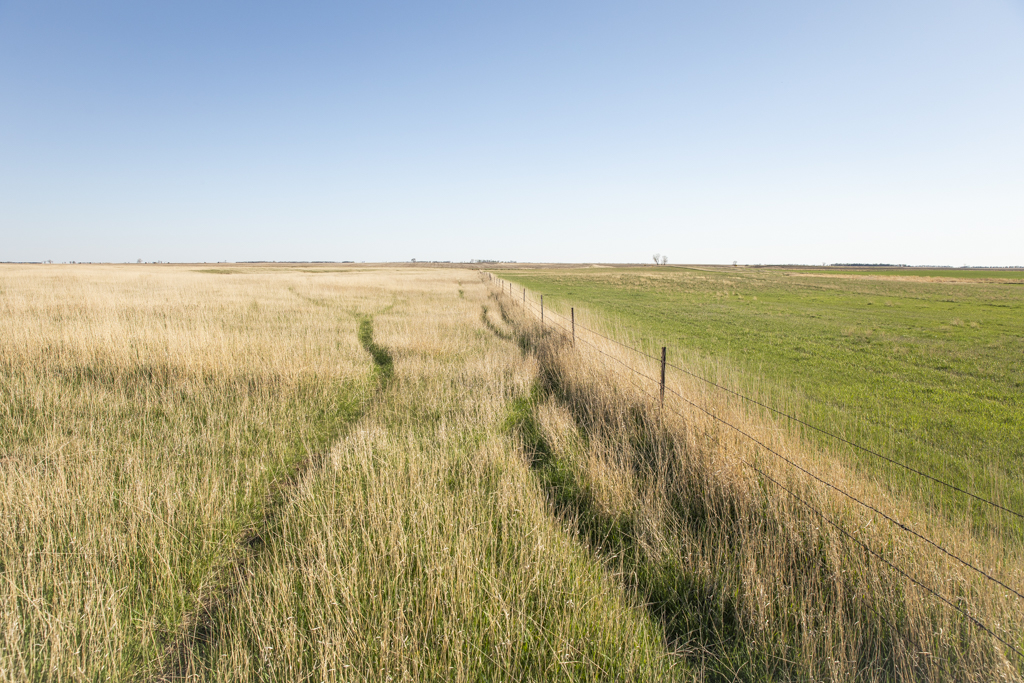 Plankinton, SD 57368 - image 33