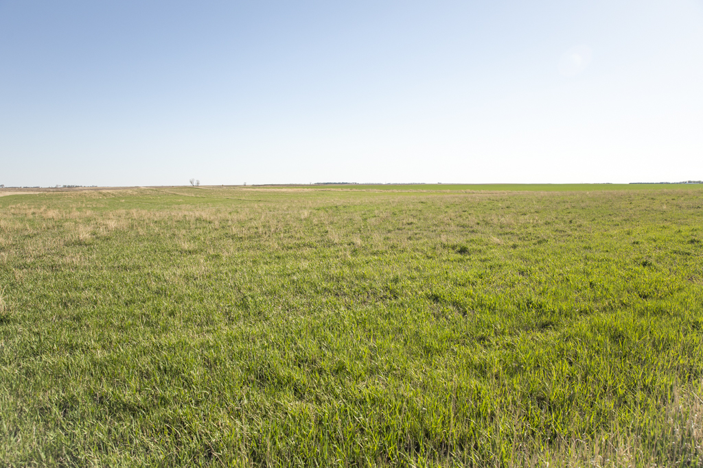 Plankinton, SD 57368 - image 17