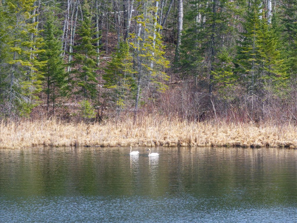 Jacobson, MN 55752 - image 31