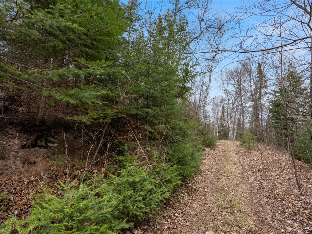 Jacobson, MN 55752 - image 45