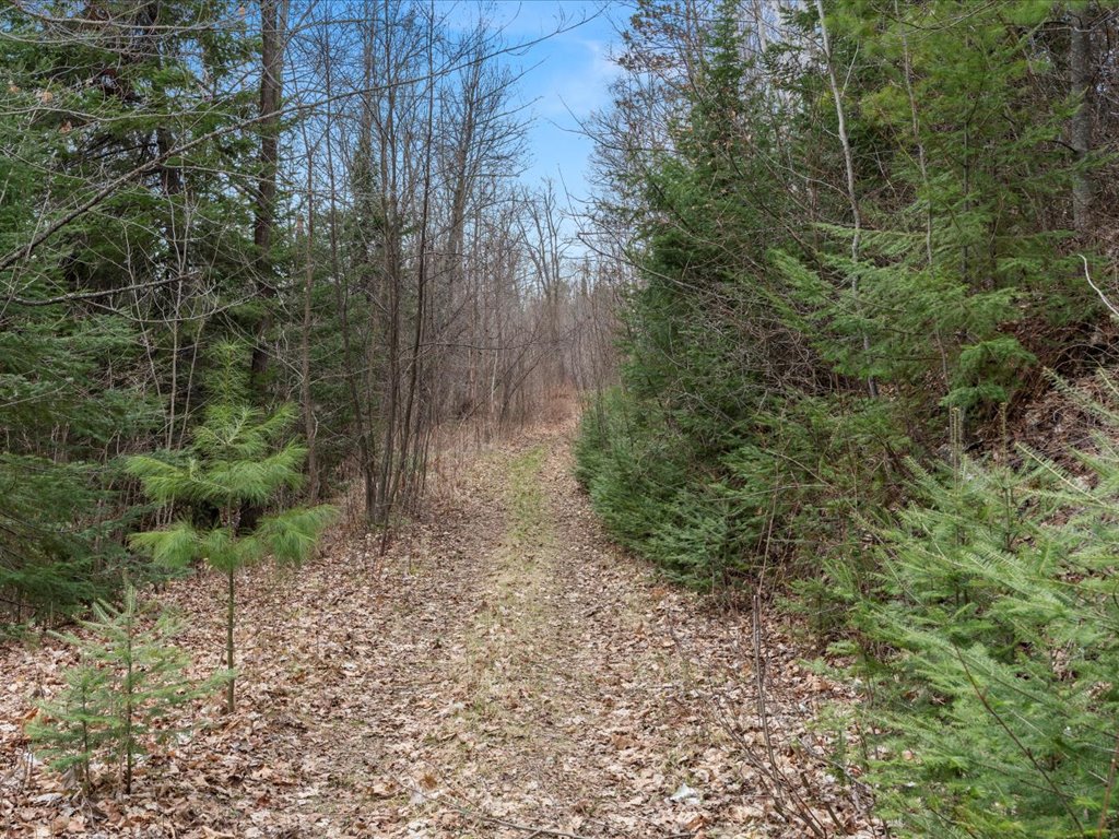 Jacobson, MN 55752 - image 44