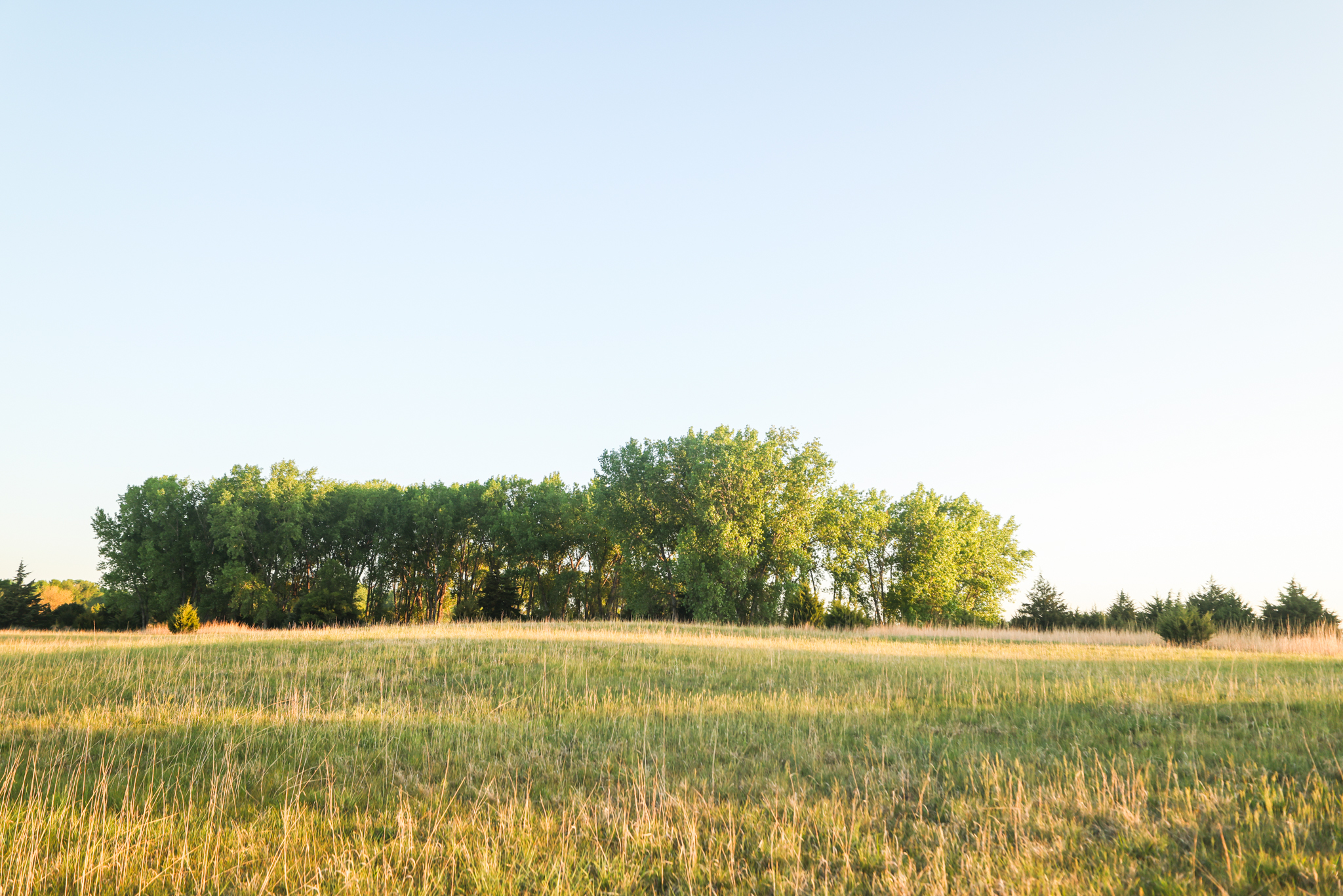 Saint Paul, NE 68873 - image 14