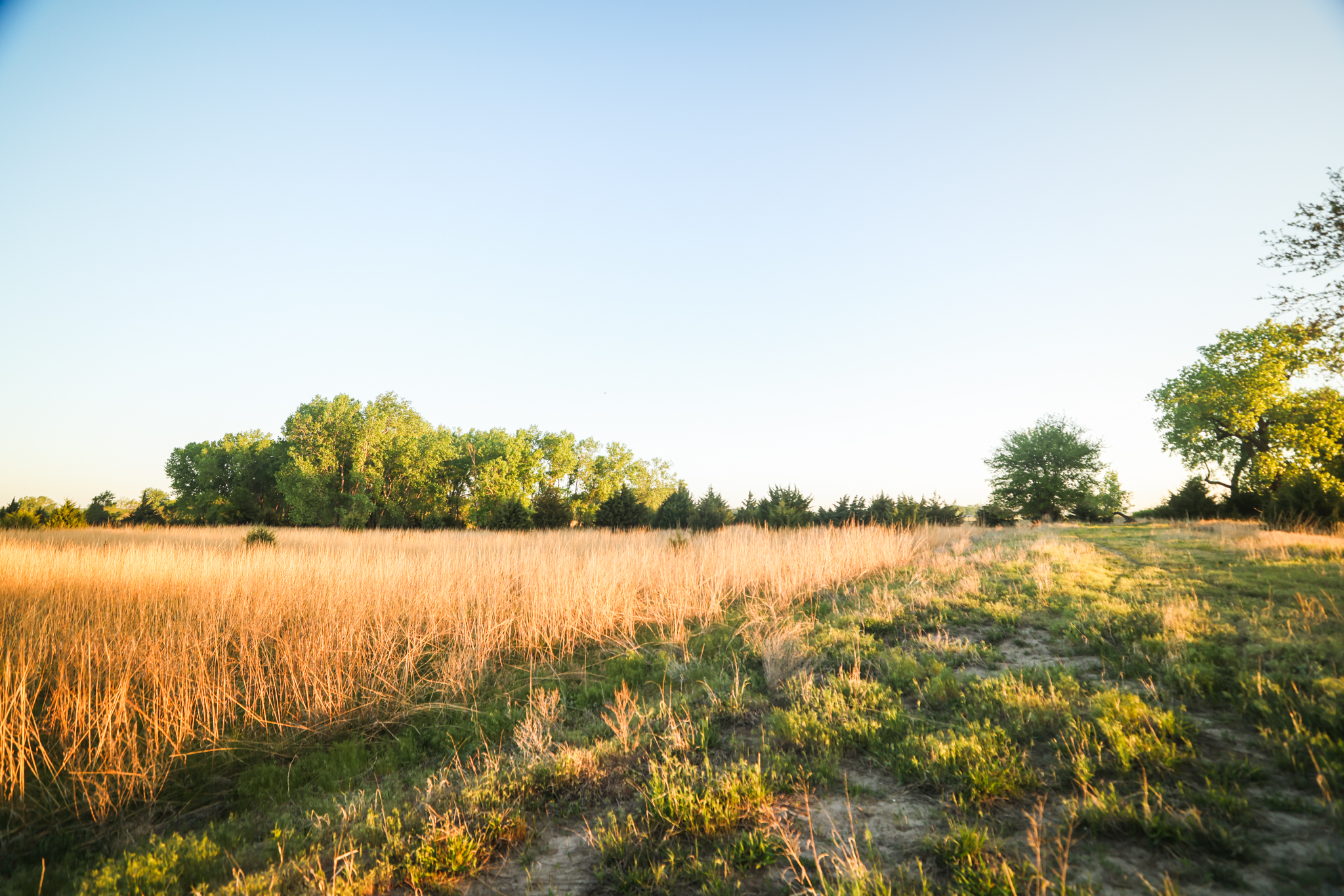 Saint Paul, NE 68873 - image 17