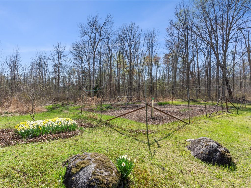 41863 Little Pine Road - image 45