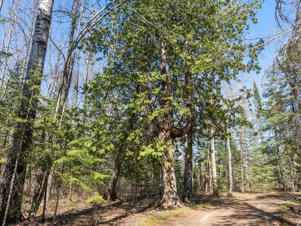 41863 Little Pine Road - image 40
