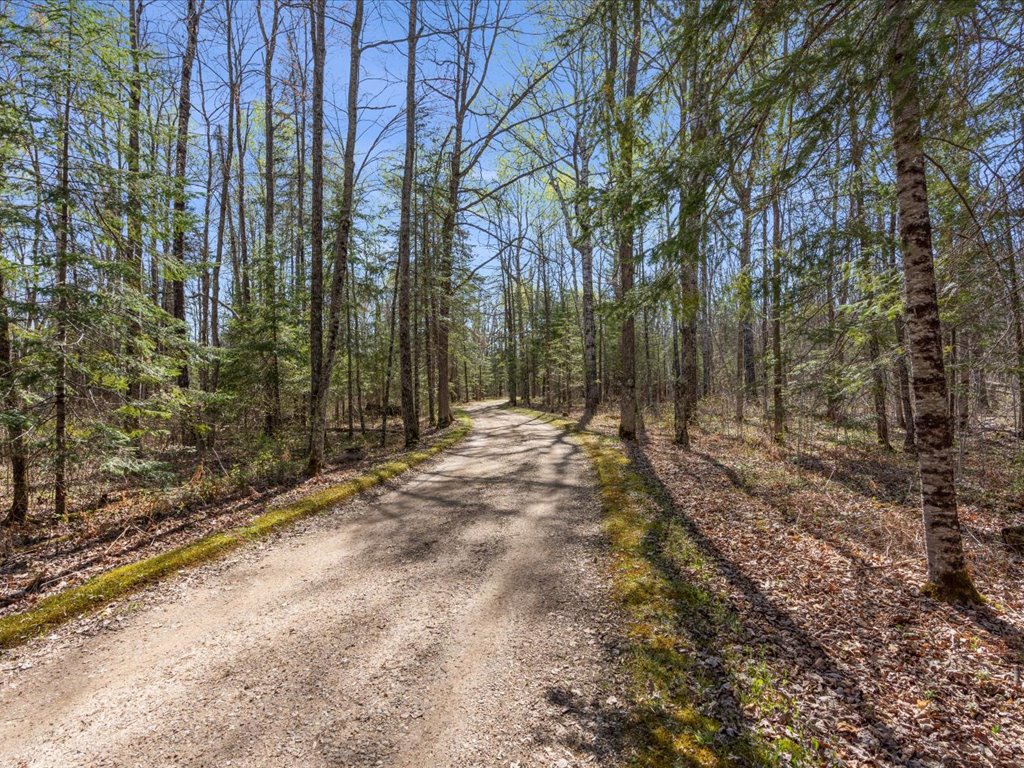 41863 Little Pine Road - image 39