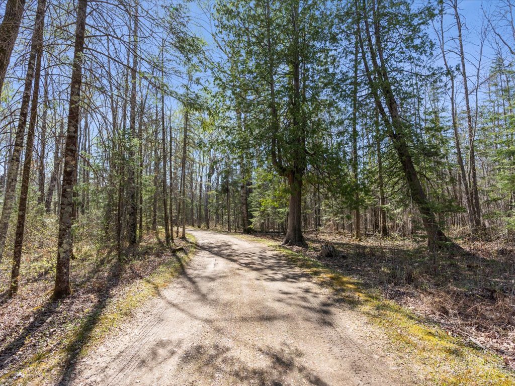 41863 Little Pine Road - image 38