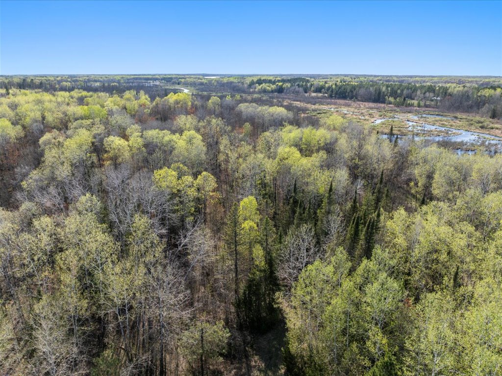 41863 Little Pine Road - image 35
