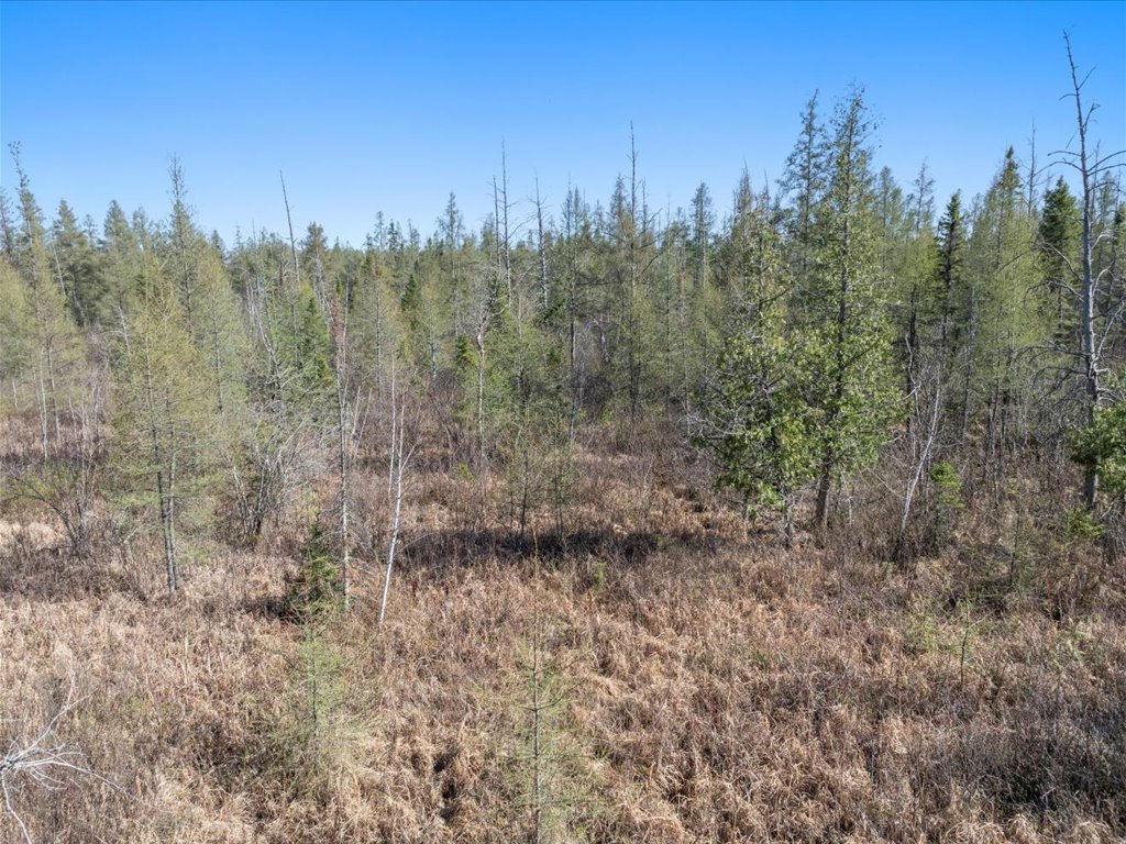 41863 Little Pine Road - image 25