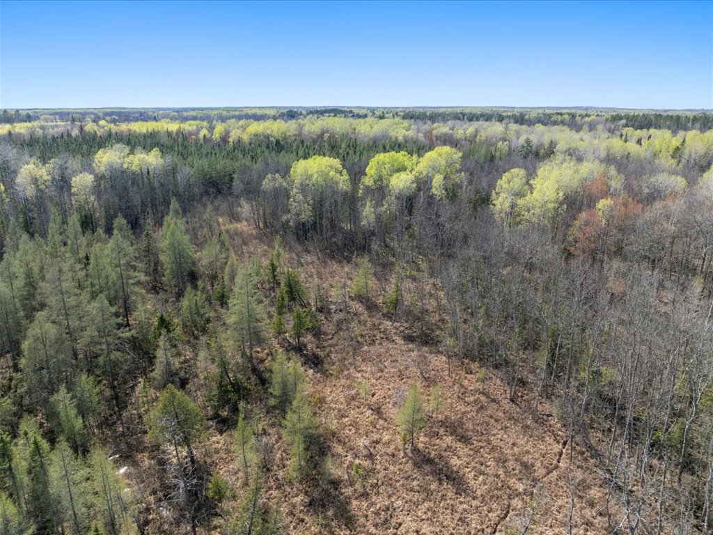 41863 Little Pine Road - image 23