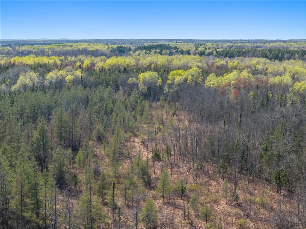 41863 Little Pine Road - image 22