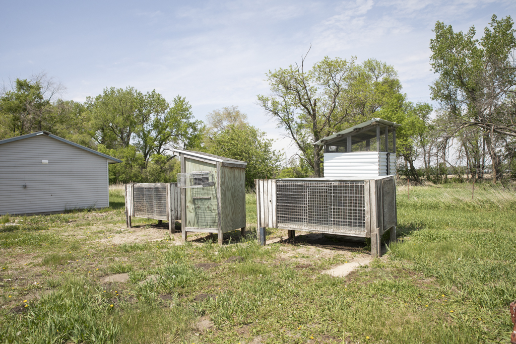 38747 176th St - image 43