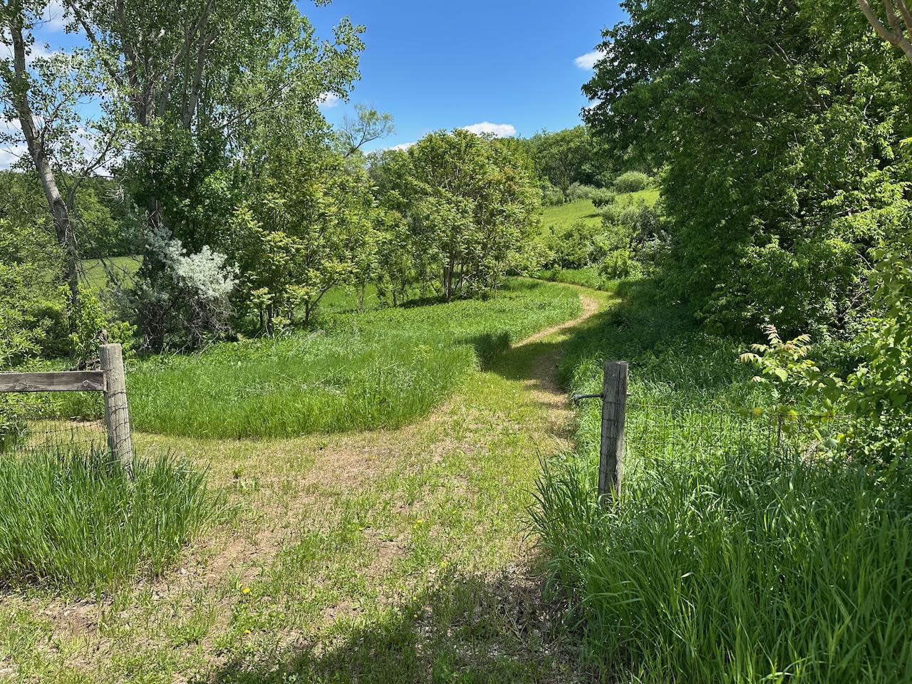 10955 N 58th Plaza - image 47