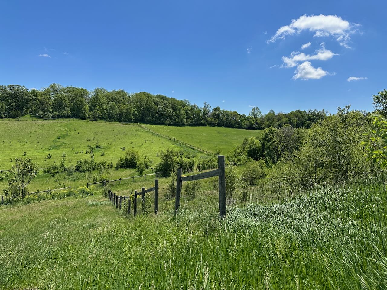 10955 N 58th Plaza - image 48