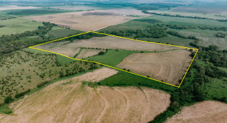 Cook, NE 68329