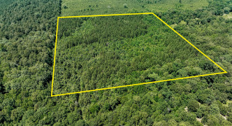 Monticello, AR 71655