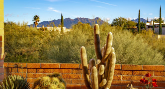 2525 S Calle Del Dante , Green Valley