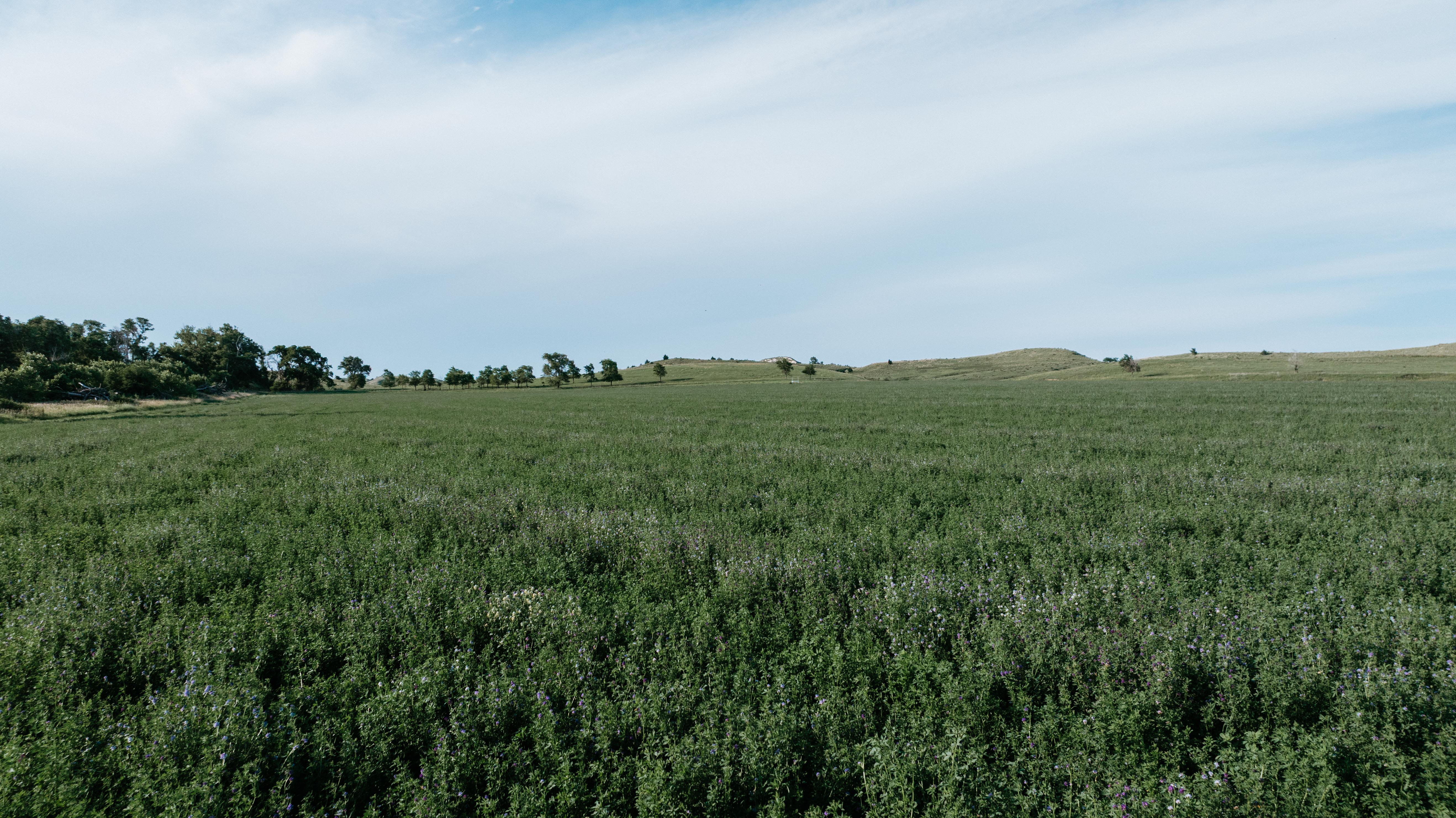 Arnold, NE 69120 - image 11
