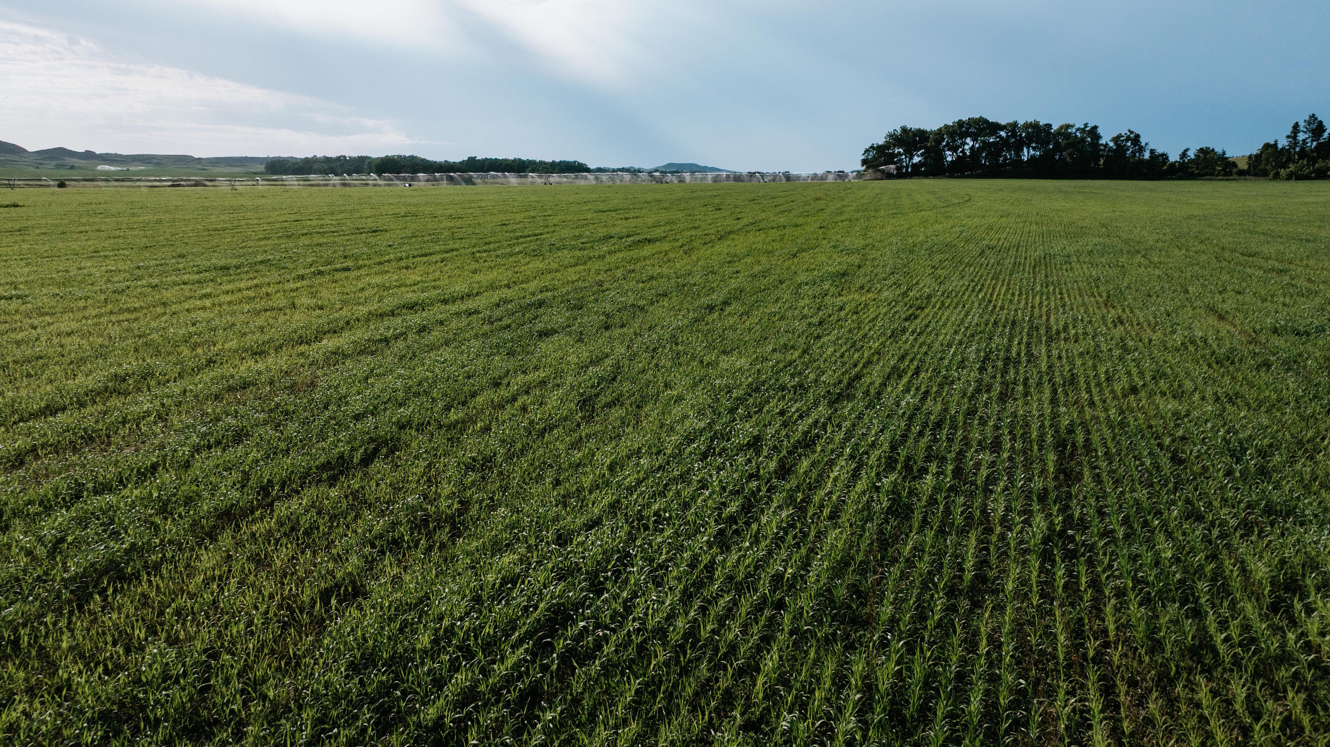 Arnold, NE 69120 - image 23