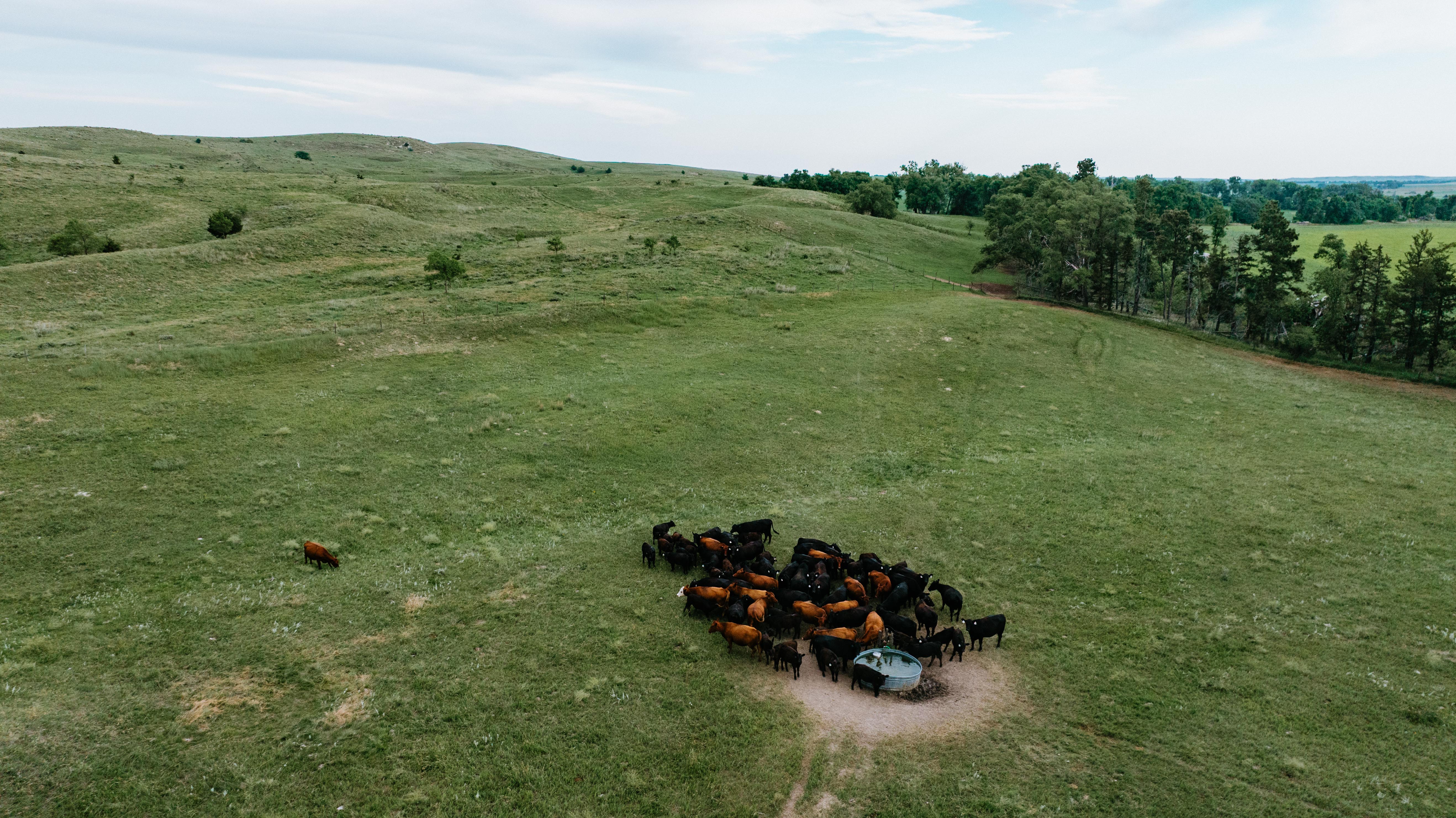 Arnold, NE 69120 - image 26