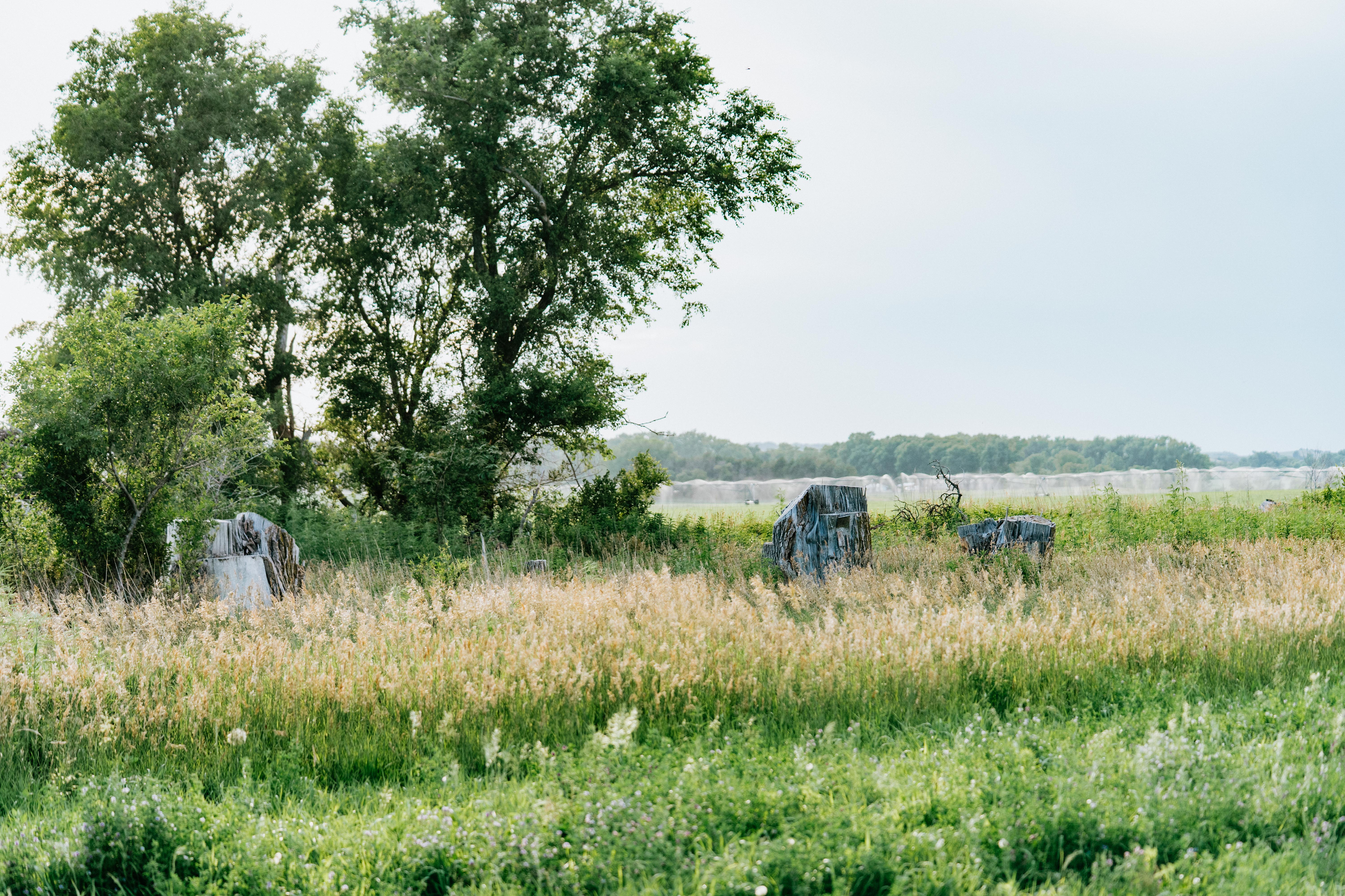 Arnold, NE 69120 - image 39
