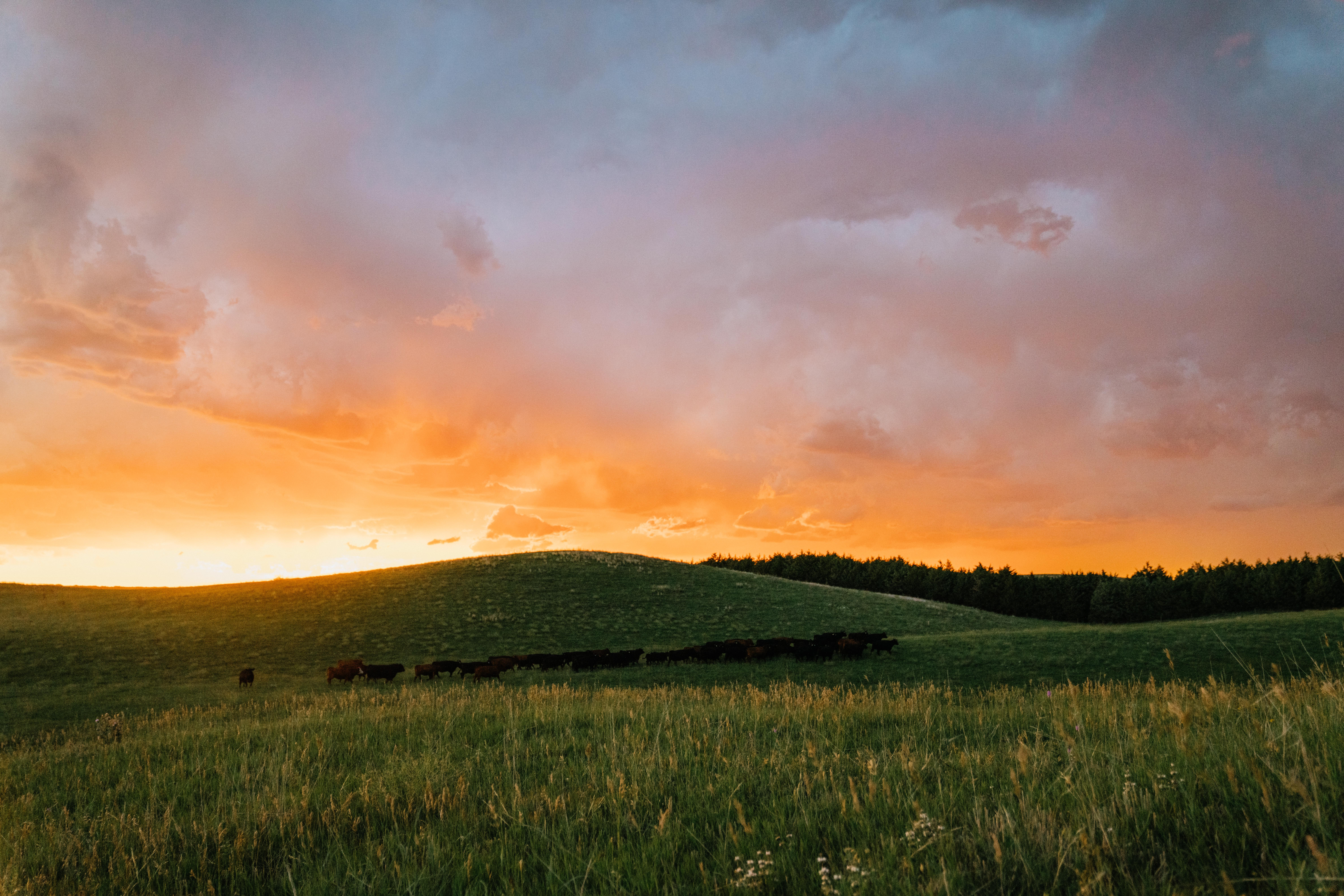 Arnold, NE 69120 - image 38