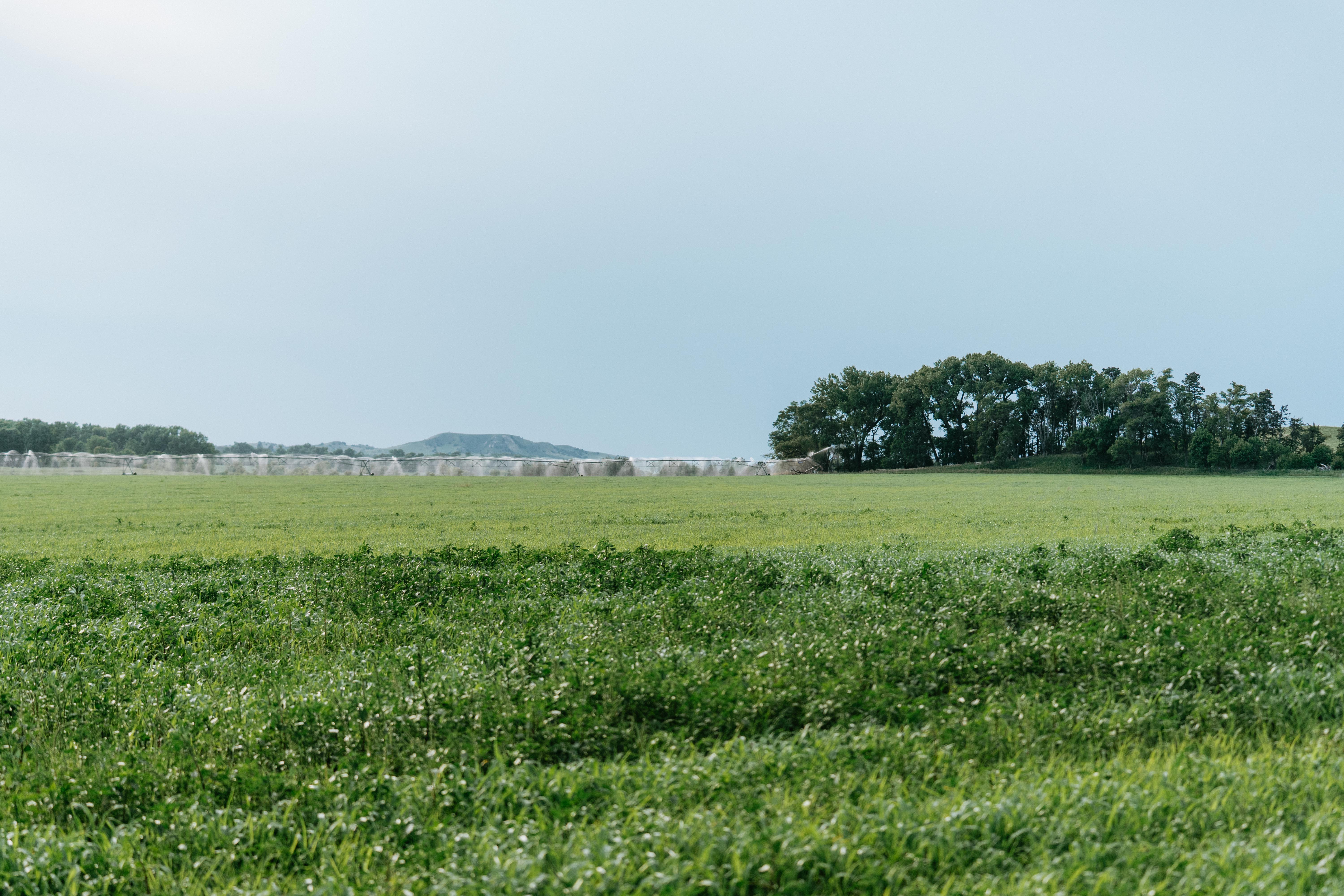 Arnold, NE 69120 - image 41