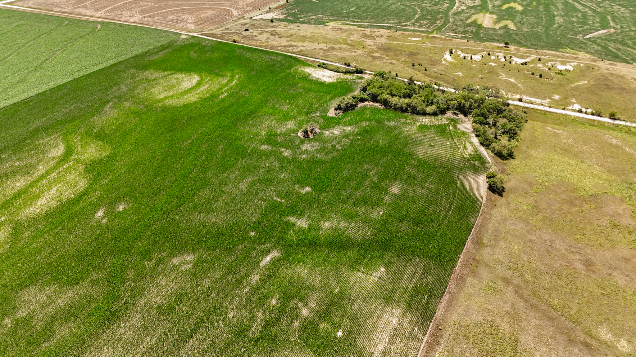 Woodston, KS 67675 - image 9