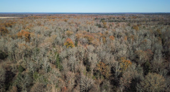 Arkadelphia, AR 71923