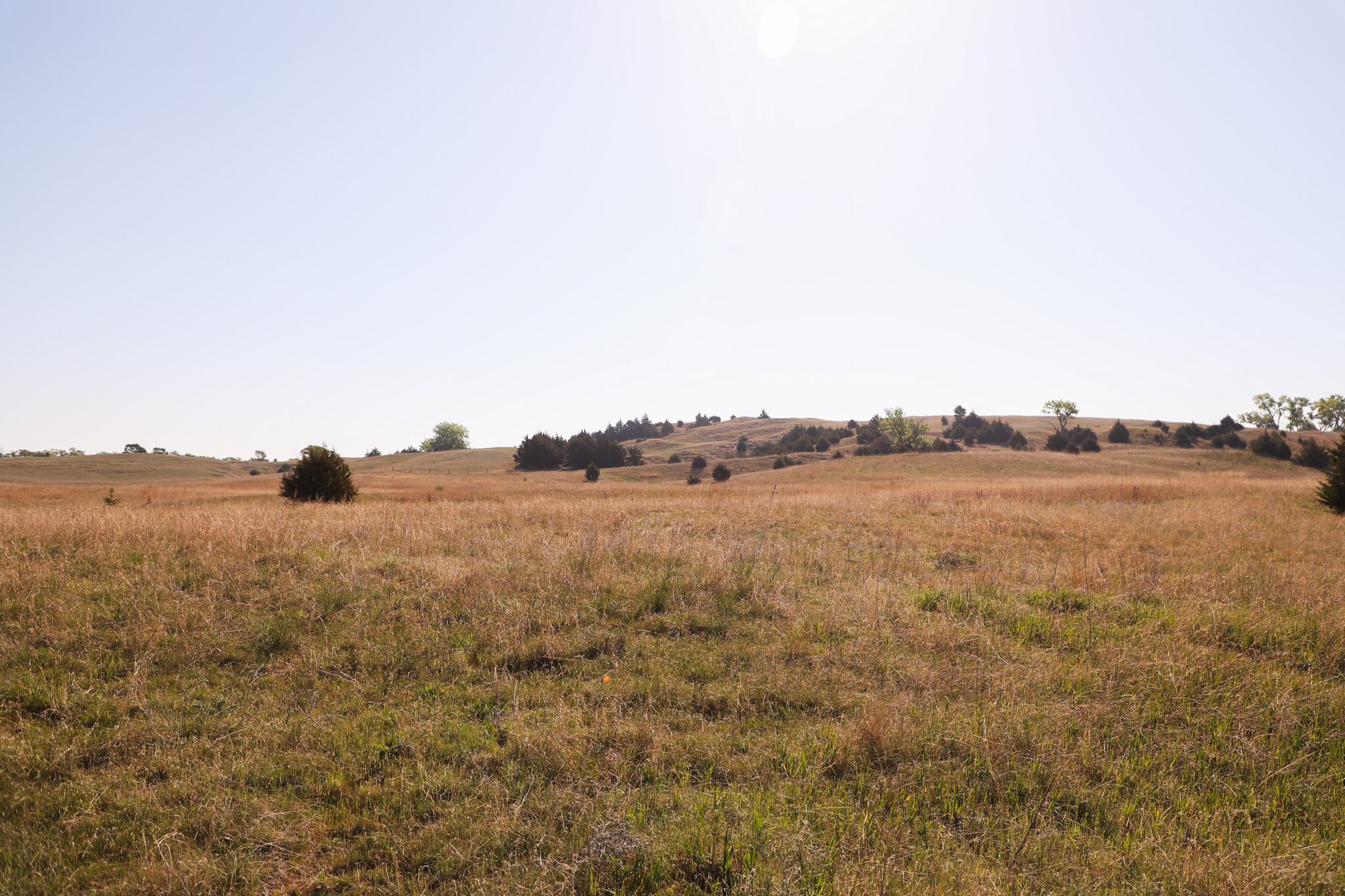 Saint Paul, NE 68873 - image 6