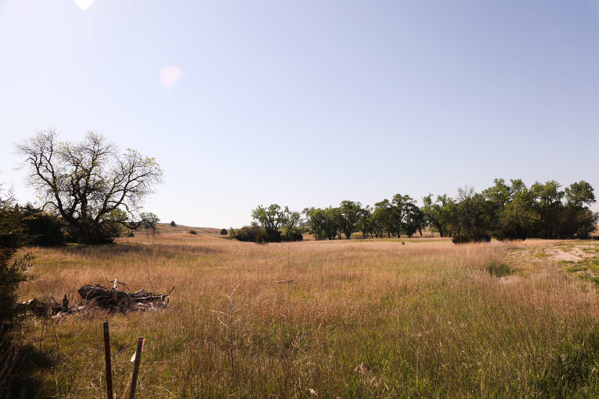 Saint Paul, NE 68873 - image 9
