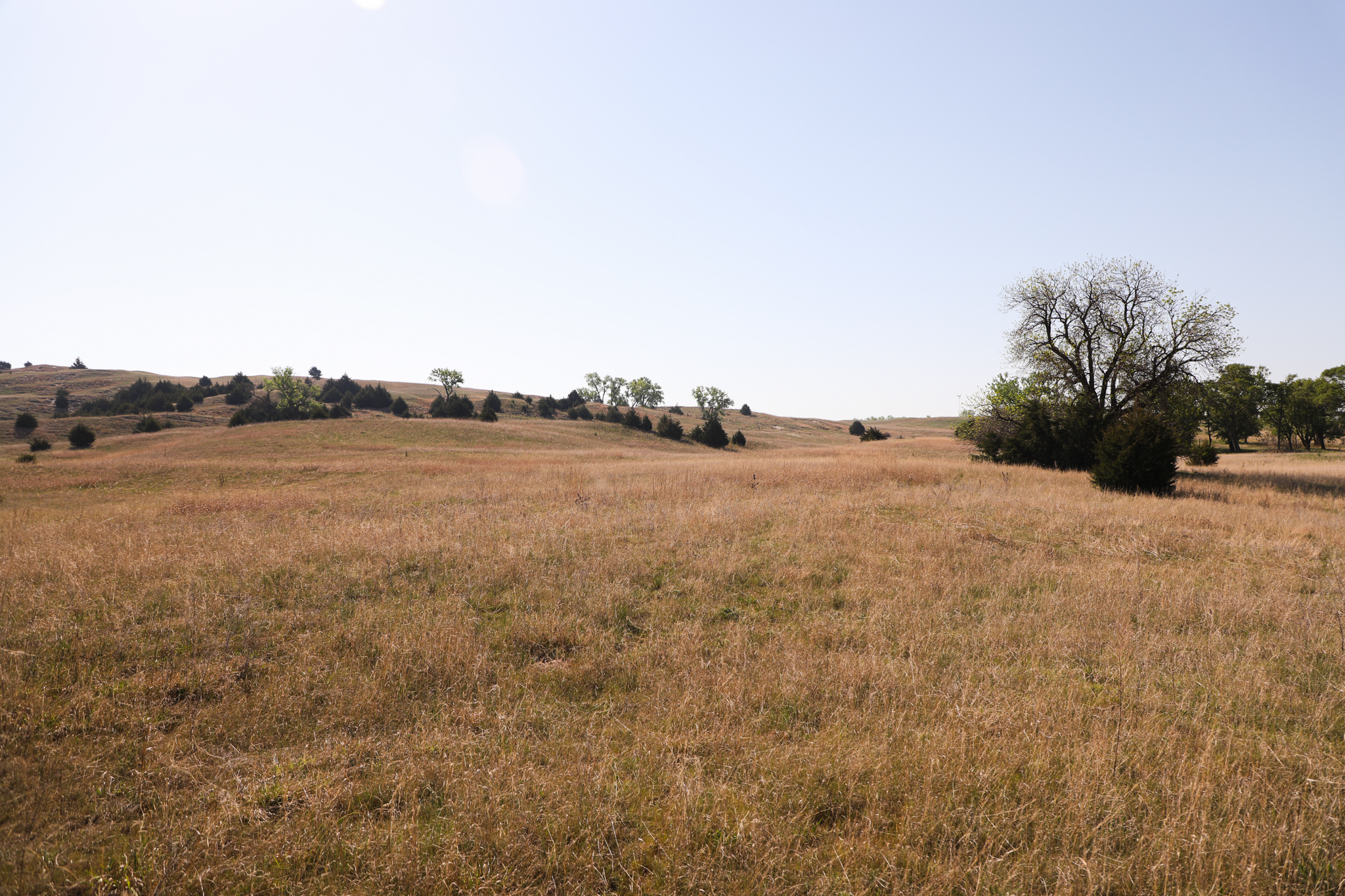 Saint Paul, NE 68873 - image 8