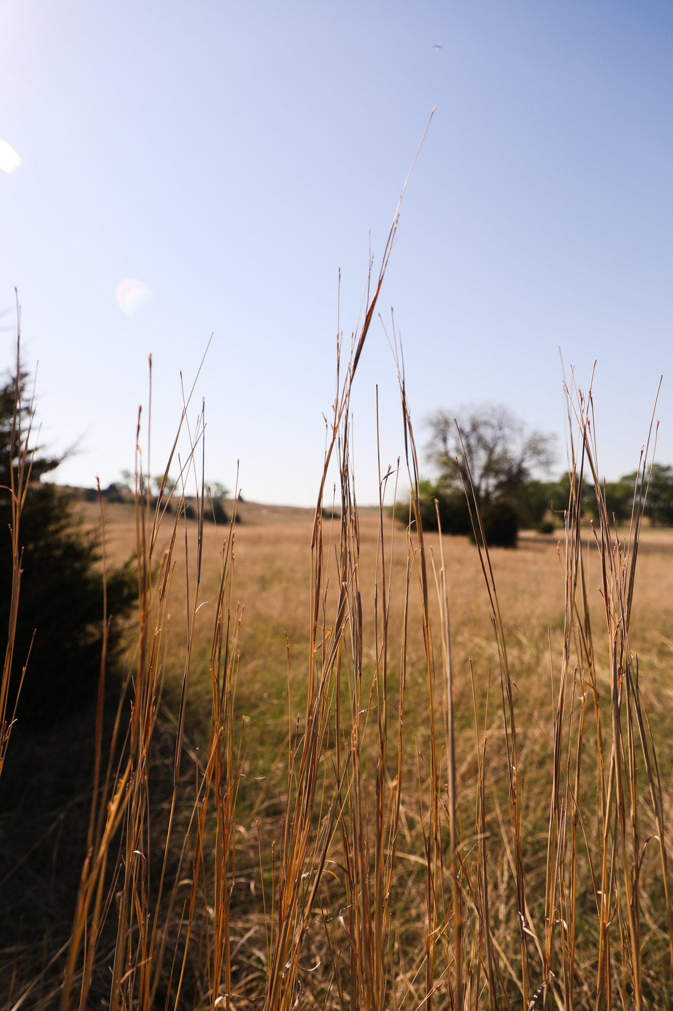 Saint Paul, NE 68873 - image 7